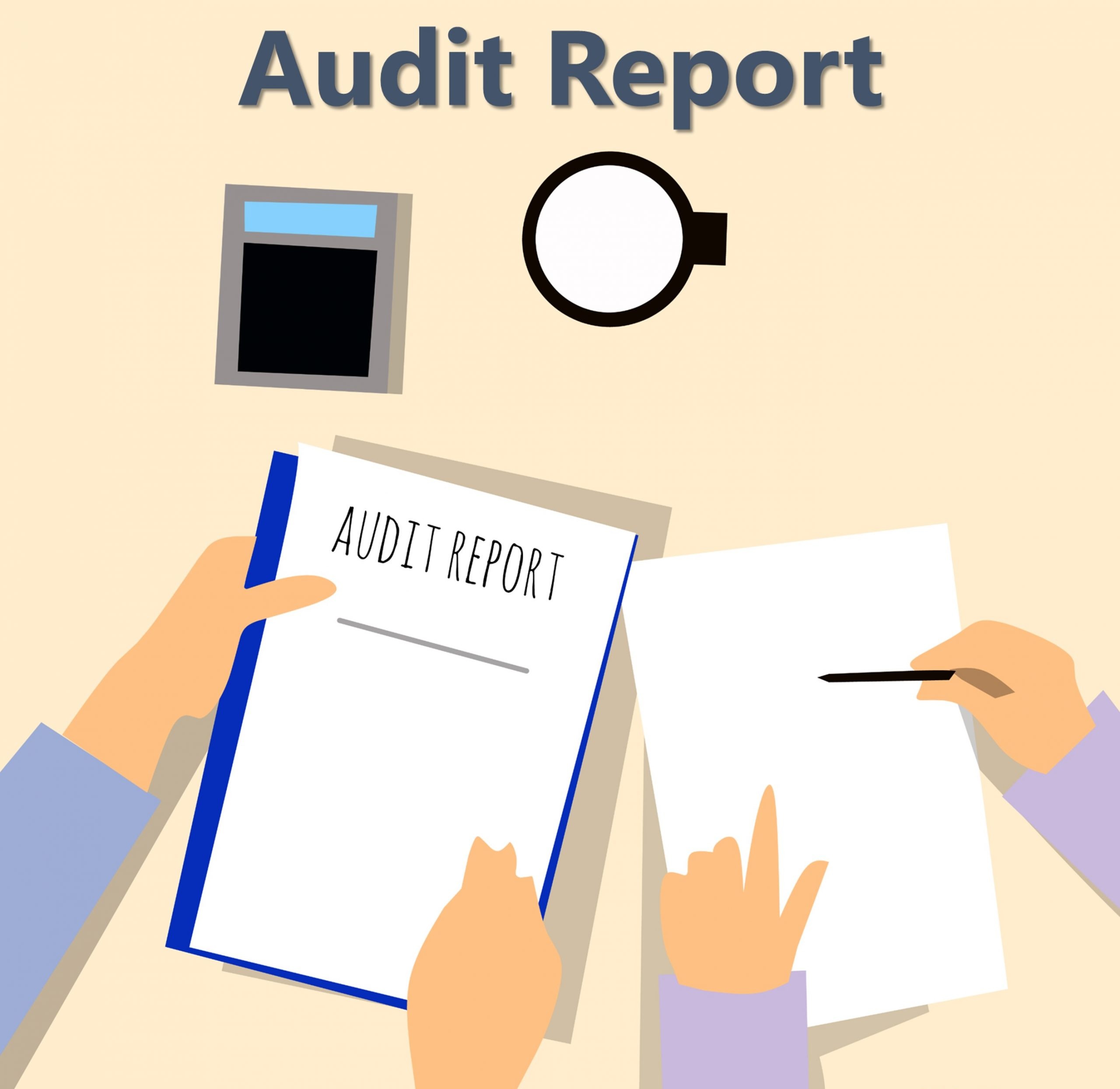 meaning of auditors report